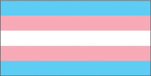 https://onelifehg.com.au/wp-content/uploads/Transgender-flag-300x151.png